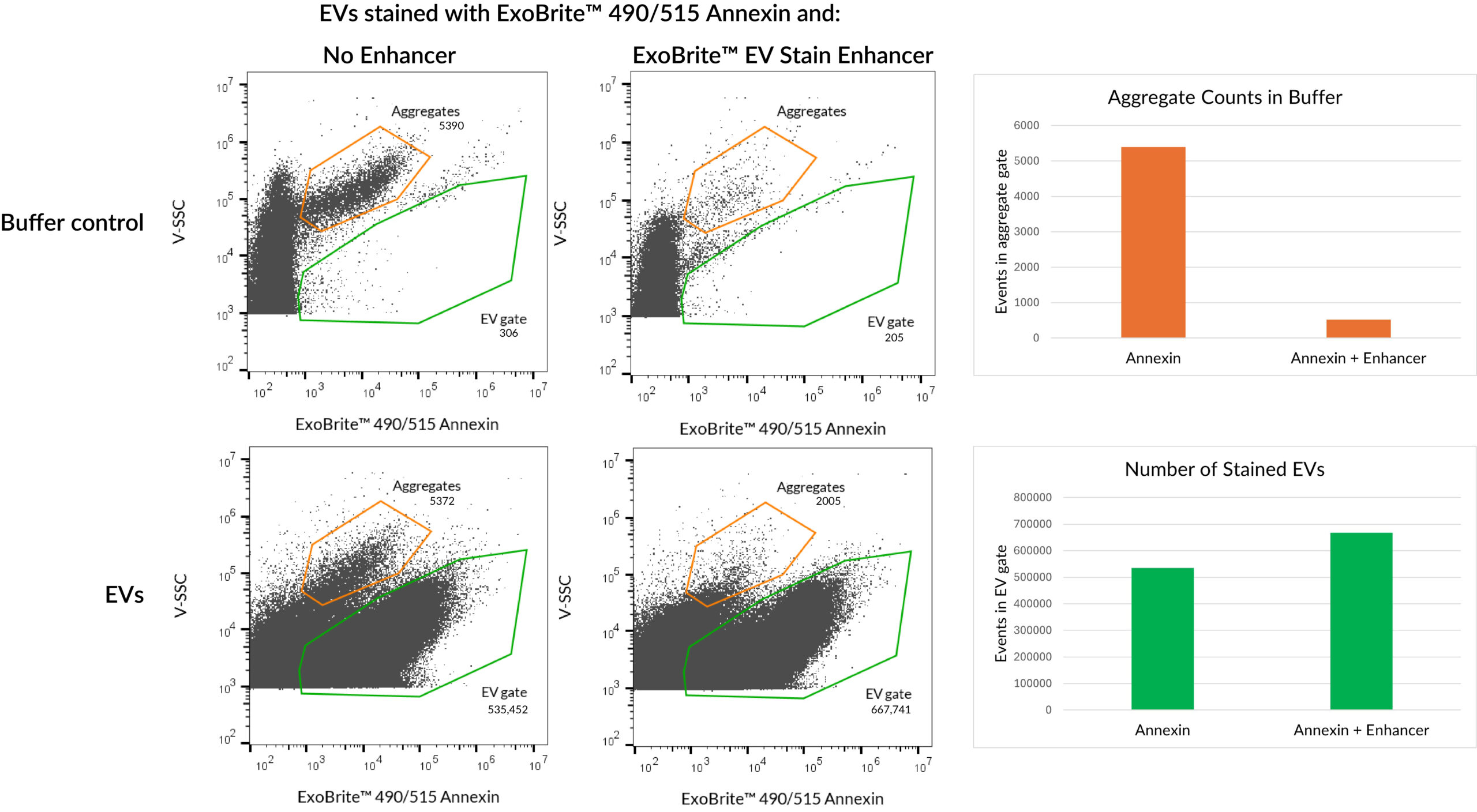 ExoBriteâ¢ EV Stain Enhancer (100X)