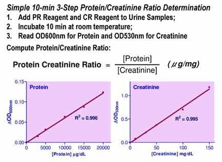 Protein Creatinine Ratio Assay Kit