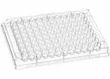 Clear Flat-Bottom 96-Well Plate