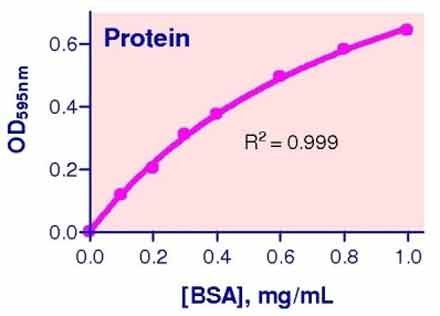 protein assay kit