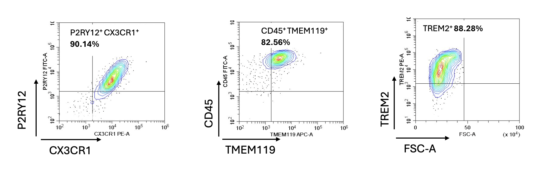 BrainXell Microglia Expression