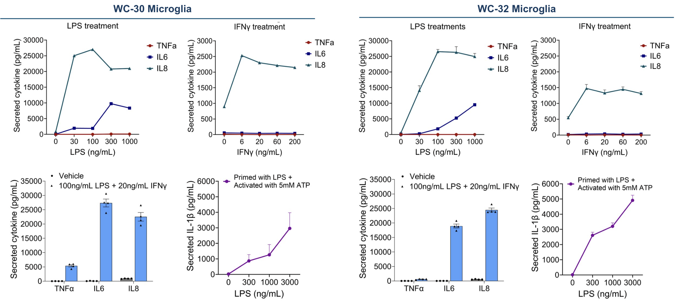 Pharmacological inhibition of NaV1.7 and NaV1.8 in BrainXell sensory neurons