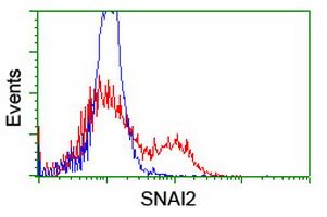 HEK293T cells transfected with either <a href = "https://www.origene.com/catalog/cdna-clones/expression-plasmids/rc202365-slug-snai2-nm-003068-human-tagged-orf-clone" title="RC202365" class="">RC202365</a> overexpress plasmid (Red) or empty vector control plasmid (Blue) were immunostained by anti-SNAI2 antibody (TA800167), and then analyzed by flow cytometry.