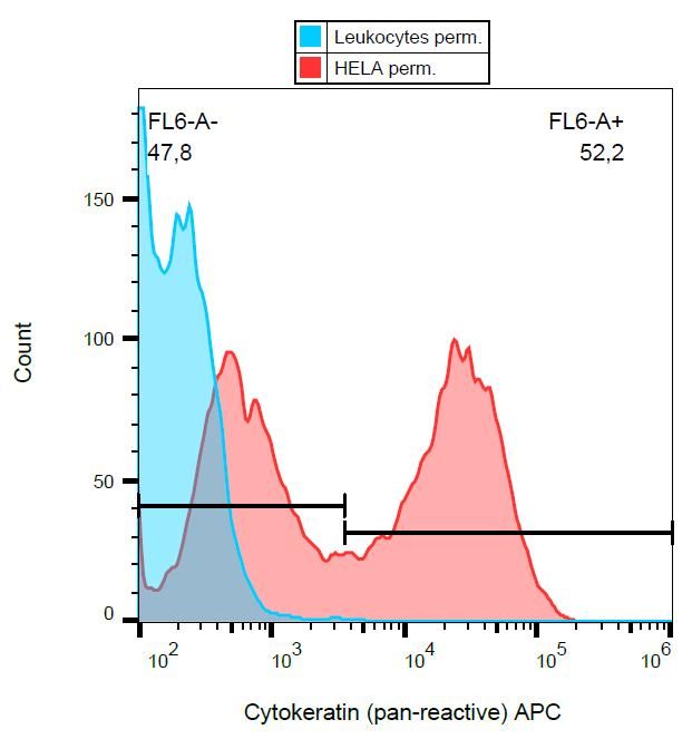 Intracellular flow cytometry analysis of cytokeratin expression in HeLa cells using anti-cytokeratin antibody (C-11) APC.
