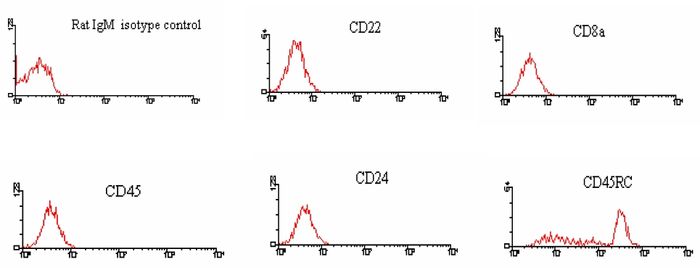 <strong>Immunofluorescent Staining:</strong> BALB/c splenocytes were incubated with Rat IgM Isotype Control, Rat anti-Mouse CD22 (2D6, Rat IgG1), Rat anti-Mouse CD8 (53-6.7, Rat IgG2a), Rat anti-Mouse CD45 (LCA) (I3/2.3, Rat IgG2b), Rat anti-Mouse CD3(C363.29B, Rat IgG2c), and Rat anti-Mouse CD45RC (GL24, rat IgM). After washing, the cells were stained with PE-labeled Mouse Anti-Rat IgM. Small Lymphocytes were gated and analyzed on a FACScan(TM) flow cytometer (BDIS, San Jose, CA). Amount Used: < / = 0.02 µg/10e6 cells.