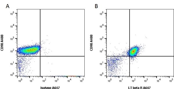 Figure A. Alexa Fluor 488 conjugated Mouse anti Mouse CD90 (MCA02) and Alexa Fluor 647 conjugated Rat IgG2a isotype control (MCA1212A647). Figure B . Alexa Fluor 488 conjugated Mouse anti Mouse CD90 (MCA1940F) and Alexa Fluor 647 conjugated Rat anti Mouse LTbetaR (MCA2244A647). All experiments performed on WEHI-164S cells gated on live single cells, in the presence of 10% mouse serum. Data acquired on the ZE5 Cell Analyzer