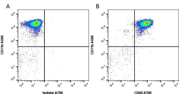 Figure A. Alexa Fluor<sup>&reg;</sup> 488 conjugated Mouse anti Rat CD11b antibody, clone OX-42 (<strong><a href="https://www.bio-rad-antibodies.com/product/partnumber/MCA275A488.html"target="_blank">MCA275A488</a></strong>) and  700 conjugated Mouse IgG1 isotype control (<strong><a href="https://www.bio-rad-antibodies.com/product/partnumber/MCA1209A700.html"target="_blank">MCA1209A700</a></strong>).<br>Figure B. Alexa Fluor<sup>&reg;</sup> 488 conjugated Mouse anti Rat CD11b antibody, clone OX-42 (<strong><a href="https://www.bio-rad-antibodies.com/product/partnumber/MCA275A488.html"target="_blank">MCA275A488</a></strong>) and Alexa Fluor<sup>&reg;</sup> 700 conjugated Mouse anti Rat CD68 (<strong>MCA341A700</strong>). All experiments performed on rat peritoneal macrophages permeabilized with Leucoperm (<strong><a href="https://www.bio-rad-antibodies.com/product/partnumber/BUF09B.html"target="_blank">BUF09B</a></strong>) gated on live, single cells in the presence of 10% rat serum.<br>Data acquired on the <strong><a href="https://www.bio-rad.com/en-uk/product/ze5-cell-analyzer?ID=OC62Q015"target="_blank">ZE5 Cell analyser</a></strong>.