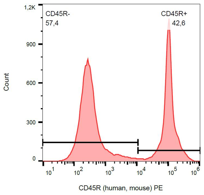 Surface staining of CD45R in murine splenocytes with anti-CD45R (RA3-6B2) PE.
