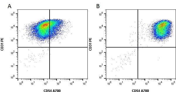 Figure A. Unstimulated cells stained with RPE conjugated Mouse anti Human CD31 antibody, clone WM59 (<strong><a href="https://www.bio-rad-antibodies.com/product/partnumber/MCA1738PE.html">MCA1738PE</a></strong>) and Alexa Fluor<sup>&reg;</sup>700 conjugated Mouse anti Human CD54 antibody, clone 15.2 (<strong>MCA1615A700</strong>).<br>Figure B. Cells stimulated with TNF&alpha; for 19 h then stained with RPE conjugated Mouse anti Human CD31 antibody, clone WM59 (<strong><a href="https://www.bio-rad-antibodies.com/product/partnumber/MCA1738PE.html">MCA1738PE</a></strong>) and Alexa Fluor<sup>&reg;</sup>700 conjugated Mouse anti Human CD54 antibody, clone 15.2 (<strong>MCA1615A700</strong>).<br>All experiments performed on HUVEC cells gated on live single cells in the presence of 10% human serum. Data acquired on the <strong><a href="https://www.bio-rad.com/en-uk/product/ze5-cell-analyzer?ID=OC62Q015"target="_blank" rel="noopener">ZE5 Cell Analyzer</a></strong>.