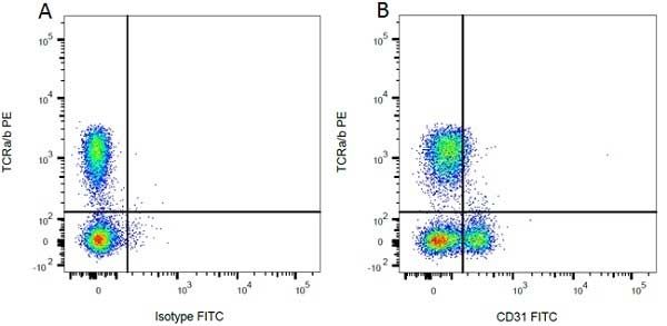 Figure A. RPE conjugated Mouse anti Rat TCRa/b antibody, clone R73 (<strong><a href="https://www.bio-rad-antibodies.com/product/partnumber/MCA453PE.html"target="_blank">MCA453PE</a></strong>) and FITC conjugated Mouse IgG1 isotype control (<strong><a href="https://www.bio-rad-antibodies.com/product/partnumber/MCA1209F.html"target="_blank">MCA1209F</a></strong>).<br>Figure B. RPE conjugated Mouse anti Rat TCRa/b antibody, clone R73 (<strong><a href="https://www.bio-rad-antibodies.com/product/partnumber/MCA453PE.html"target="_blank">MCA453PE</a></strong>) and FITC conjugated Mouse anti Rat CD31 antibody, clone TLD-3A12 (<strong>MCA1334F</strong>).<br>All experiments performed on red cell lysed rat blood gated on mononuclear cells.<br>Data acquired on the <strong><a href="https://www.bio-rad.com/en-uk/product/ze5-cell-analyzer?ID=OC62Q015"target="_blank">ZE5 Cell analyser</a></strong>.