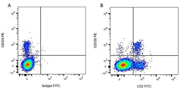 Figure A. RPE conjugated Mouse anti Bovine CD335 antibody, clone AKS1 (<strong>MCA2365PE</strong>) and FITC conjugated Mouse IgG1 isotype control (<strong><a href="https://www.bio-rad-antibodies.com/product/partnumber/MCA928F.html"target="_blank">MCA928F</a></strong>).<br>Figure B. RPE conjugated Mouse anti Bovine CD335 antibody, clone AKS1 (<strong>MCA2365PE</strong>) and FITC conjugated Mouse anti Bovine CD2 antibody, clone CC42 (<strong><a href="https://www.bio-rad-antibodies.com/product/partnumber/MCA833F.html"target="_blank">MCA833F</a></strong>). All experiments performed on red cell lysed bovine blood gated on mononuclear cells.