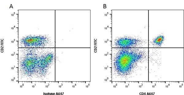 Figure A. FITC conjugated Mouse anti Bovine CD2 antibody, clone CC42 (<strong><a href="https://www.bio-rad-antibodies.com/product/partnumber/MCA833F.html"target="_blank">MCA833F</a></strong>) and Alexa Fluor<sup>&reg;</sup> 647 conjugated Mouse IgG2a isotype control (<strong><a href="https://www.bio-rad-antibodies.com/product/partnumber/MCA929A647.html"target="_blank">MCA929A647</a></strong>).<br>Figure B. FITC conjugated Mouse anti Bovine CD2 antibody, clone CC42 (<strong><a href="https://www.bio-rad-antibodies.com/product/partnumber/MCA833F.html"target="_blank">MCA833F</a></strong>) and Alexa Fluor<sup>&reg;</sup> 647 conjugated Mouse anti Bovine CD4 antibody, clone CC8 (<strong>MCA1653A647</strong>).<br>All experiments performed on red cell lysed bovine blood gated on lymphocytes.<br>Data acquired on the <strong><a href="https://www.bio-rad.com/en-uk/product/ze5-cell-analyzer?ID=OC62Q015"target="_blank">ZE5 Cell Analyzer</a></strong>.