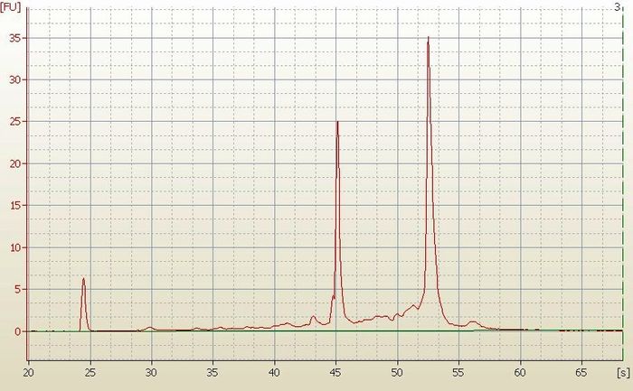 RNA Electropherogram Image