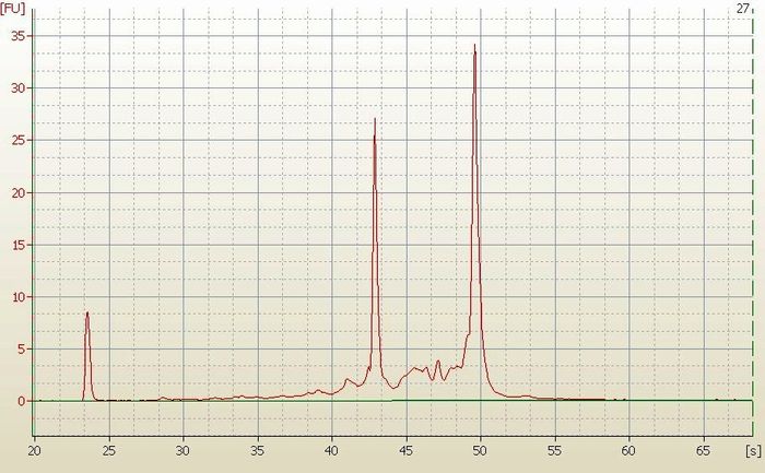 RNA Electropherogram Image