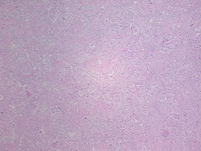 4x Image