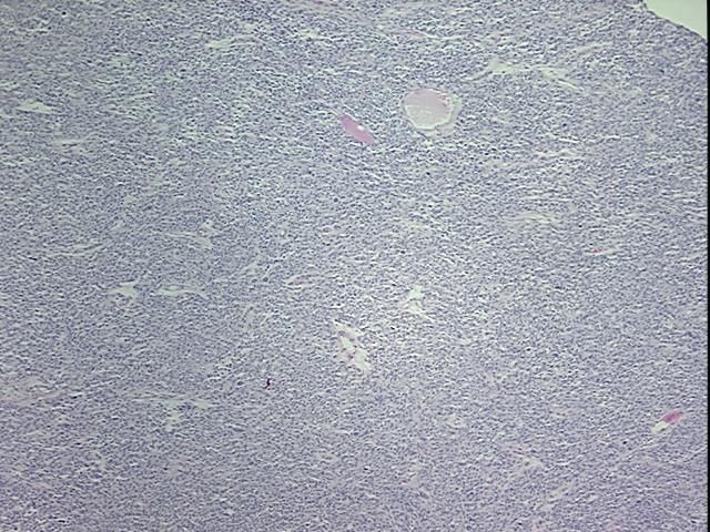 4x Image