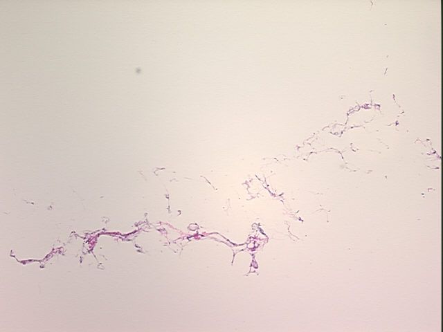 4x Image