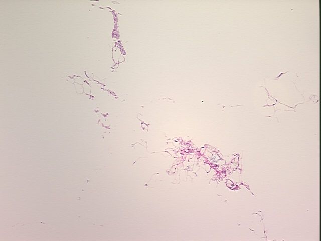 4x Image