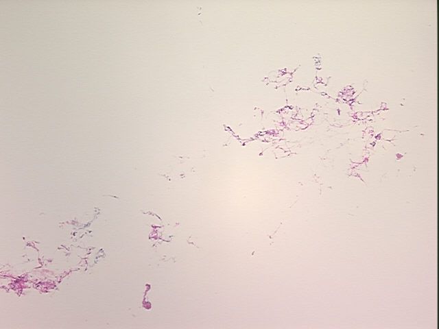 4x Image