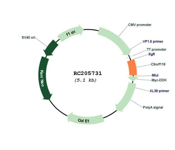 Circular map for RC205731