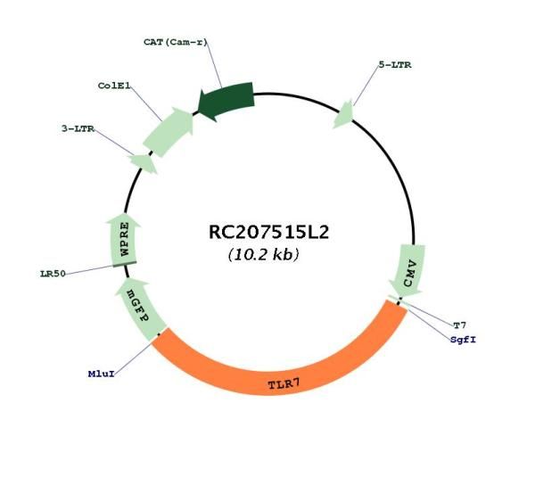 Circular map for RC207515L2