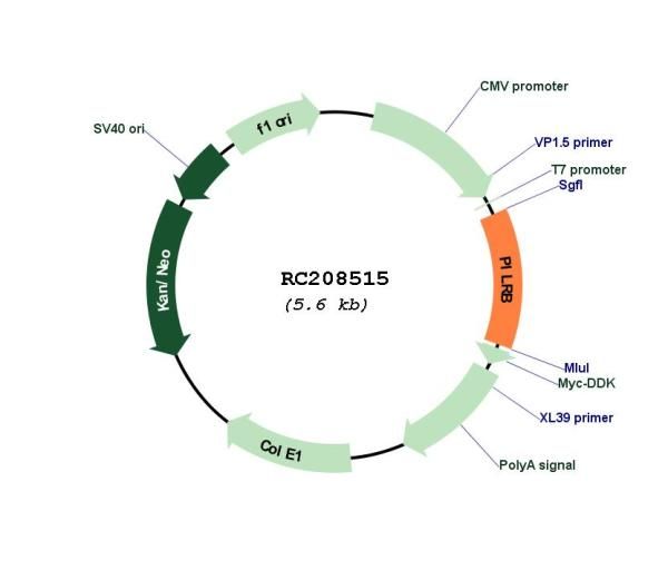 Circular map for RC208515