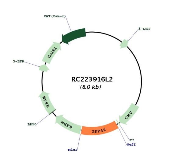 Circular map for RC223916L2