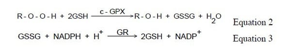 Assay Kit, Testing Data #2 – Cat# MBS480417