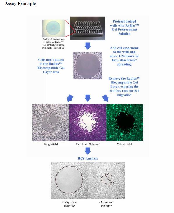 MBS16878796 Radius 96Well Cell Migration Assay Clinisciences