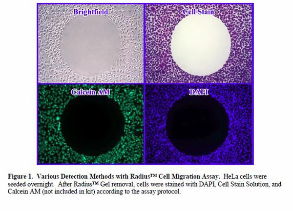 Assay Kit, Testing Data #2 – Cat# MBS168787