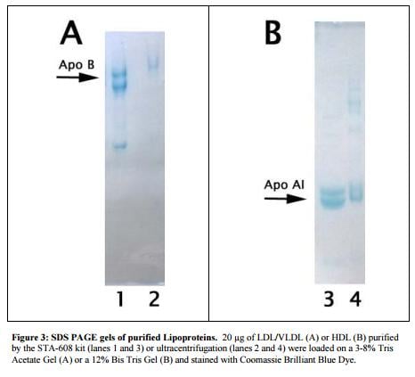 LDL Kit, Testing Data #3 – Cat# MBS168884