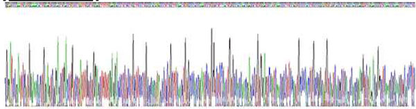 MID1 Recombinant Protein – Cat# MBS2030329