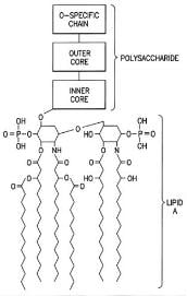 LPS Small Molecule – Cat# MBS2086470