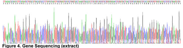Gene Sequencing (extract)