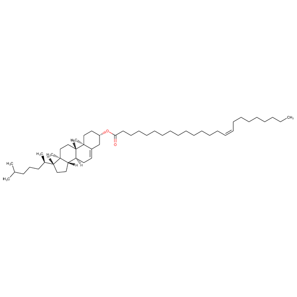 Cholesterol Nervonate Biochemical – Cat# MBS5819129
