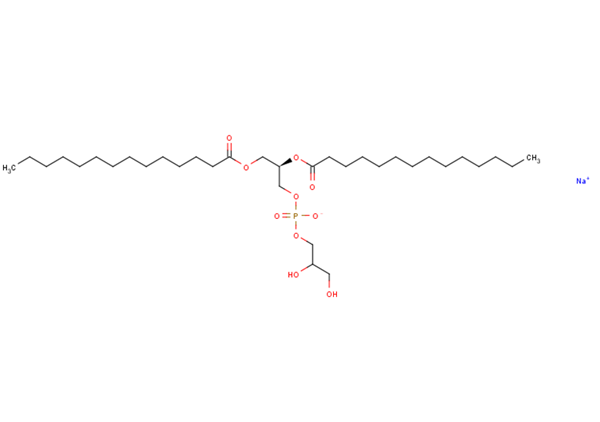 DMPG Biochemical – Cat# MBS5825528