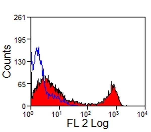 Mouse Anti-CD8 Monoclonal Antibody, Testing Data – Cat# MBS6247750