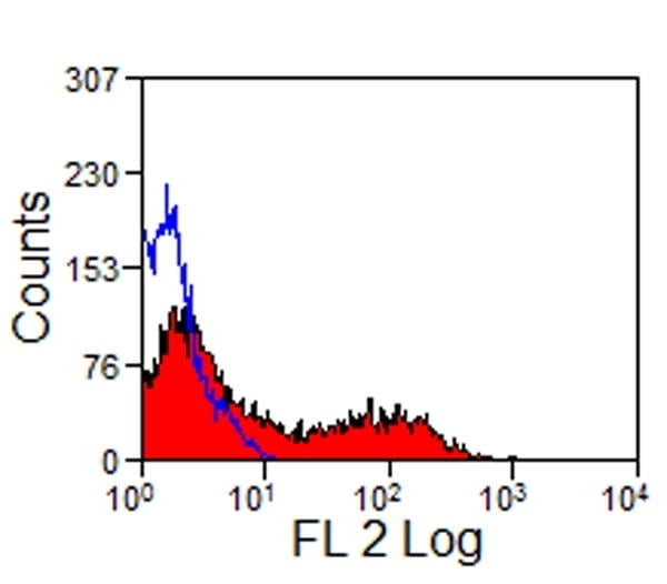 Mouse Anti-B Cells, Pan Monoclonal Antibody – Cat# MBS6247394