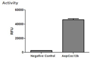 AapCas12b Recombinant Protein, Activity – Cat# MBS516659
