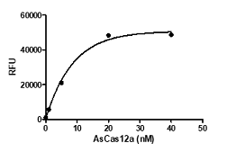 AsCas12a Recombinant Protein – Cat# MBS516768