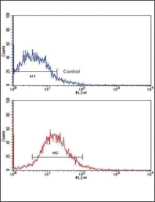 Mouse Anti-EPHB2 Monoclonal Antibody, Flow Cytometry (FC/FACS) – Cat# MBS632528