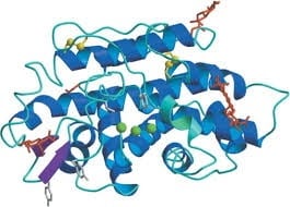 Enzyme, Testing Data – Cat# MBS653730