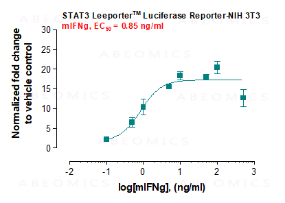 STAT3 Cell Line – Cat# MBS669570