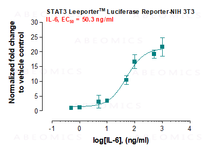 STAT3 Cell Line, Testing Data – Cat# MBS669570