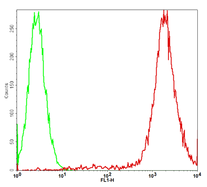 GFP/HeLa Cell Line, Flow Cytometry (FC/FACS) – Cat# MBS669606