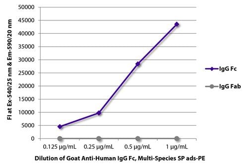 Goat Anti-IgG Fc Secondary Antibody – Cat# MBS679292