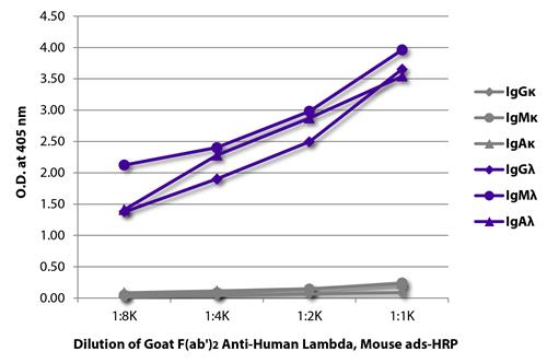Goat Anti-Lambda Secondary Antibody – Cat# MBS679300