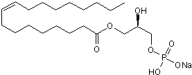 Lysophosphatidic Acid Small Molecule – Cat# MBS808107