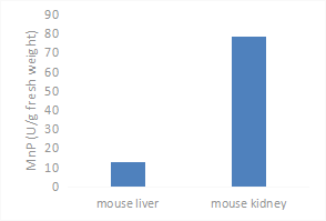 MNP Assay Kit – Cat# MBS9719572