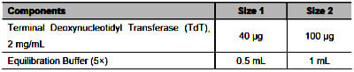 TdT Recombinant Protein, Testing Data (TD) – Cat# MBS9719251